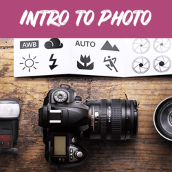 Adult Intro to Photography