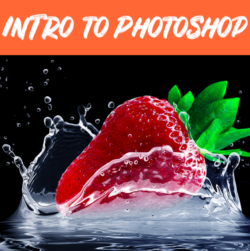 Adult Intro to Photoshop
